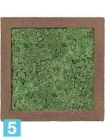Картина из искусственного мха polystone rock 100% северный мох (мох зеленый) l-50 w-50 h-5 см в Москве