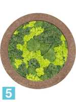 Картина из искусственного мха polystone rock 30% шаровый мох 70% олений мох (микс) d-80 h-5 см в Москве