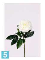 Искусственный цветок для декора Пион мини 10dx42h крем в #REGION_NAME_DECLINE_PP#