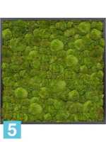 Картина из искусственного мха атласный блеск 100% шаровый мох темный фон l-80 w-80 h-6 см в #REGION_NAME_DECLINE_PP#