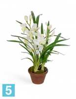 Искусственный цветок в горшке Орхидея Цимбидиум белая малая (в кашпо) TREEZ Collection в #REGION_NAME_DECLINE_PP#