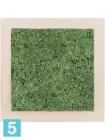 Картина из искусственного мха polystone натуральный 100% олений мох (мох зеленый) l-50 w-50 h-5 см в Москве