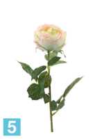 Искусственный цветок для декора Роза Шанталь 10dx70h кремово-розовая