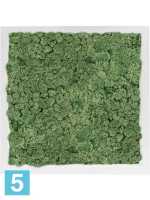 Картина из искусственного мха сатин блеск 100% олений мох (мох зеленый) l-40 w-40 h-6 см в Москве