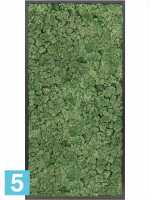 Картина из искусственного мха атласный блеск 100% олений мох (мох зеленый) темный фон l-120 w-60 h-6 см в Москве