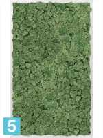 Картина из искусственного мха алюминий 100% олений мох (мох зеленый) l-100 w-60 h-6 см в Москве