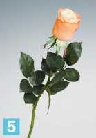 Искусственный цветок для декора роза Sensitive Botanic "Джессика" 5d*72h оранжевая в #REGION_NAME_DECLINE_PP#