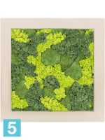 Картина из искусственного мха polystone натуральный 30% шаровый мох 70% олений мох (микс) l-50 w-50 h-5 см в Москве
