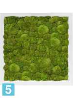 Картина из искусственного мха сатин блеск 100% шаровый мох светлый l-40 w-40 h-6 см в Москве