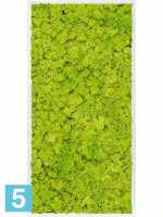 Картина из искусственного мха сатин блеск 100% олений мох (весенний зеленый) l-120 w-60 h-6 см в Москве