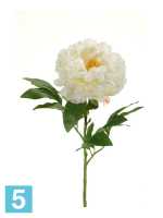 Искусственный цветок для декора Пион d16, 65см белый в #REGION_NAME_DECLINE_PP#