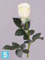 Искусственный букет из роз Джессика зелено-белая 3 шт. 72h см в #REGION_NAME_DECLINE_PP#