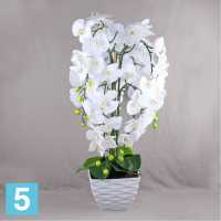 Орхидея искусственная Alseed, белая, h-80 см., латекс, в интерьерном кашпо, d-17 см. в #REGION_NAME_DECLINE_PP#
