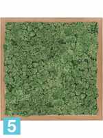 Картина из искусственного мха бамбук 100% олений мох (мох зеленый) l-40 w-40 h-6 см в Москве