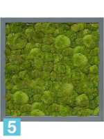 Картина из искусственного мха атласный блеск 100% шаровый мох l-40 w-40 h-6 см в Москве
