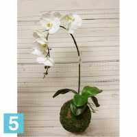 Кокедама искусственная Alseed, d-15 "Орхидея"белая, латекс в #REGION_NAME_DECLINE_PP#