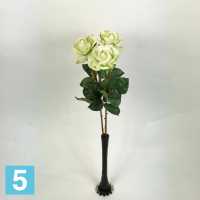 Искусственный букет из роз Каролина Sensitive Botanic 3 шт. 70h лайм в #REGION_NAME_DECLINE_PP#