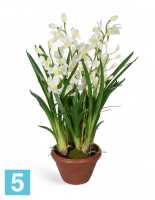 Искусственный цветок в горшке Орхидея Цимбидиум белая большая (в кашпо) TREEZ Collection в #REGION_NAME_DECLINE_PP#