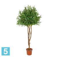Оливковое дерево 170 см. искусственное Alseed, латекс в #REGION_NAME_DECLINE_PP#