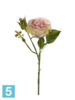 Искусственный цветок для декора роза с бутоном "Анна" 8dx37h персиковая в #REGION_NAME_DECLINE_PP#