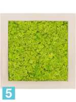 Картина из искусственного мха polystone натуральный 100% олений мох (весенний зеленый) l-50 w-50 h-5 см в Москве