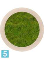 Картина из искусственного мха polystone натуральный 100% плоский мох d-80 h-5 см в Москве