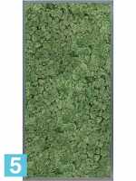 Картина из искусственного мха атласный блеск 100% олений мох (мох зеленый) серый фон l-120 w-60 h-6 см в Москве