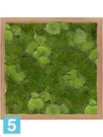 Картина из искусственного мха бамбук 30% шаровидный и 70% плоский мох l-40 w-40 h-6 см в Москве