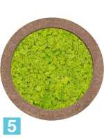 Картина из искусственного мха polystone rock 100% северный мох (весенний зеленый) d-80 h-5 см в Москве