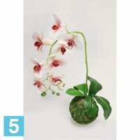 Кокедама искусственная Alseed, d-15 "Орхидея" бело-мал, латекс в #REGION_NAME_DECLINE_PP#
